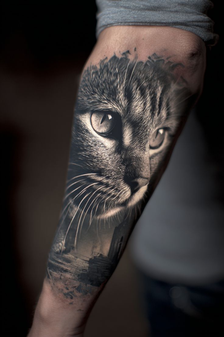 Black & Grey Feline Portrait